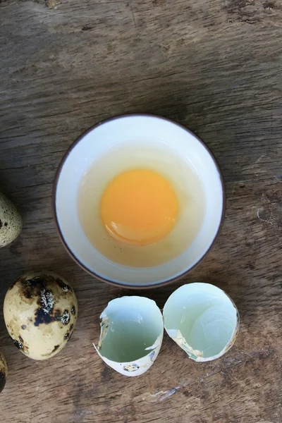 ウズラの卵 — ストック写真