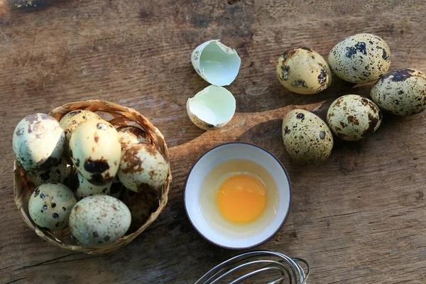 Huevos de codorniz — Foto de Stock