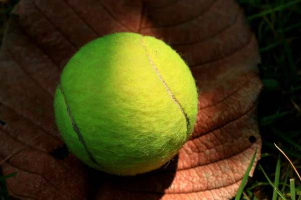 Balle de tennis avec ombre — Photo