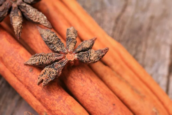 Anís estrellado y canela — Foto de Stock