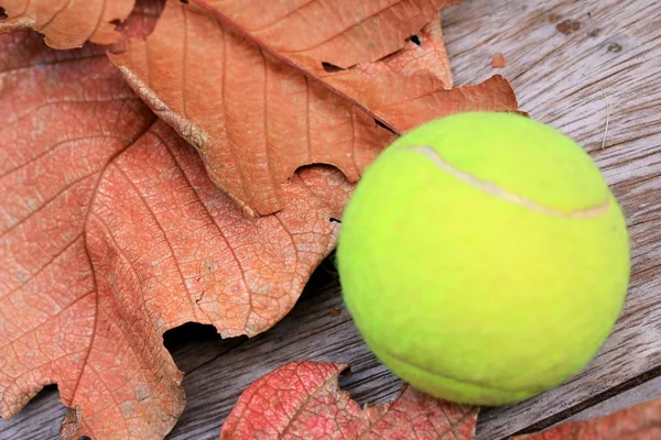 Tenis topu üzerinde ahşap