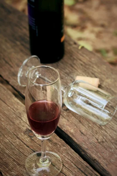 Bicchiere di vino rosso con ombra — Foto Stock