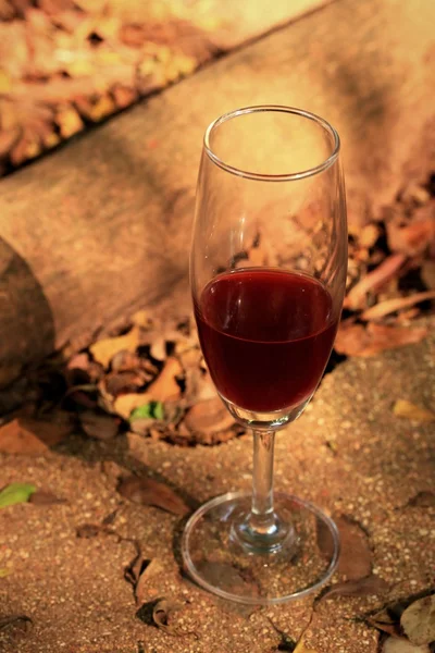 Bicchiere di vino rosso con ombra — Foto Stock