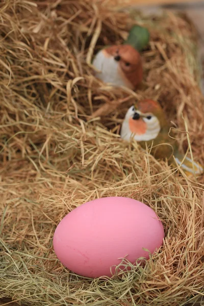 Розовое маринованное яйцо — стоковое фото