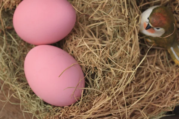 ピンク ピクルス保存卵 — ストック写真