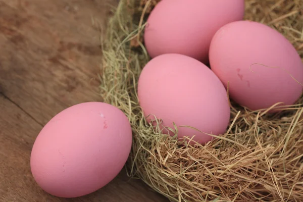 Ovo conservado em conserva rosa — Fotografia de Stock