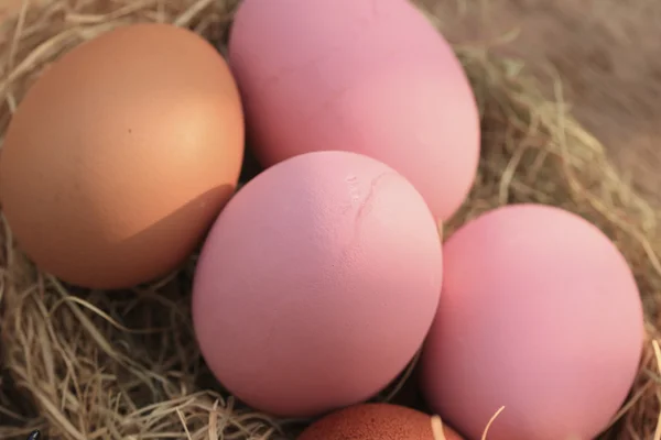 Ovo conservado em conserva rosa — Fotografia de Stock