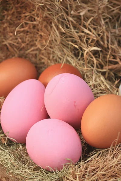 Merah muda acar diawetkan telur — Stok Foto