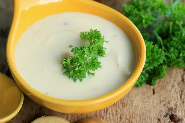 Suppe mit frischen Kartoffeln — Stockfoto