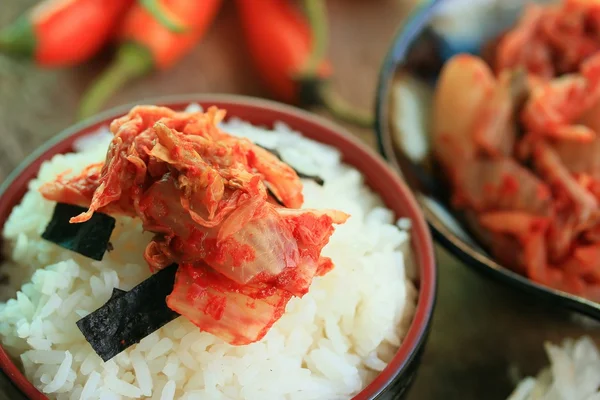 Rábano kimchi con arroz al vapor —  Fotos de Stock