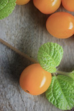 Sarı domates ile nane yaprakları