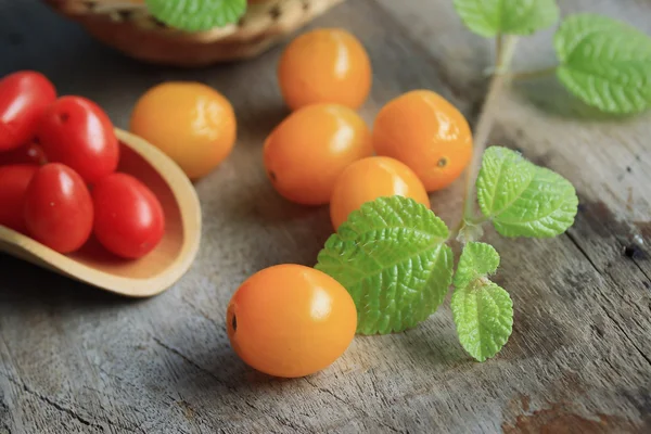 Färska tomater med mynta blad — Stockfoto