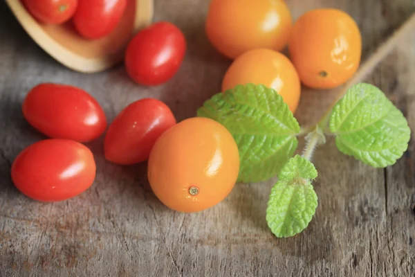 Frische Tomaten mit Minzblättern — Stockfoto