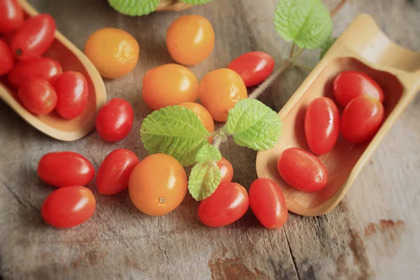 Čerstvá rajčata s mátou listy — Stock fotografie
