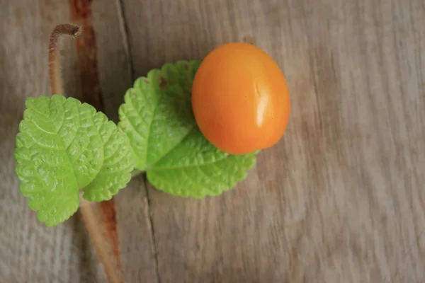 Gula tomater med mynta blad — Stockfoto