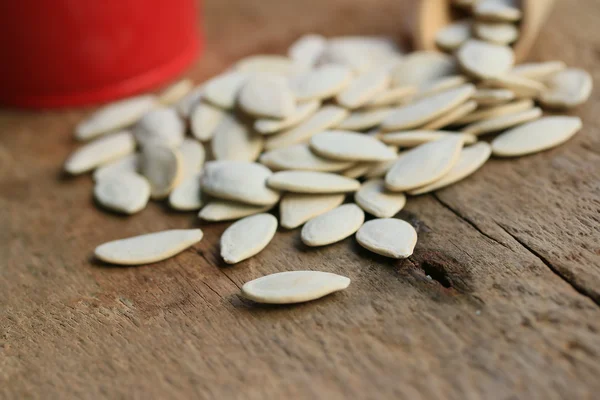 Graines de citrouille blanches séchées — Photo