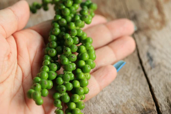 Semillas de pimienta verde fresca —  Fotos de Stock