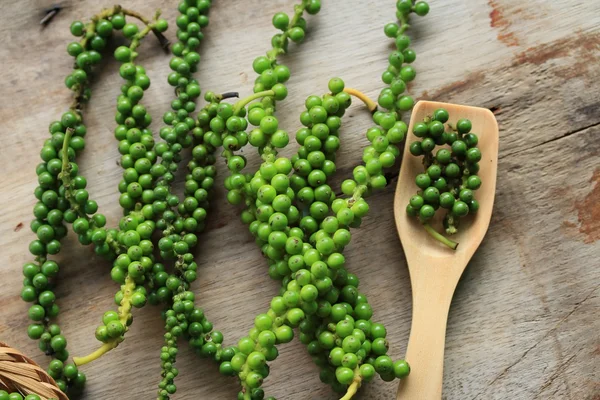 Semillas de pimienta verde fresca —  Fotos de Stock
