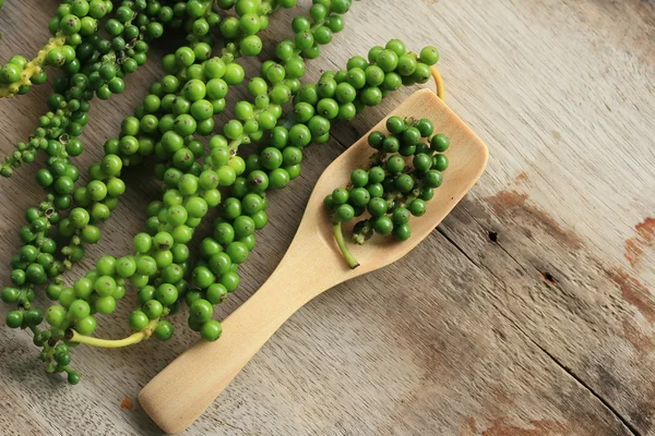 Semillas de pimienta verde fresca — Foto de Stock