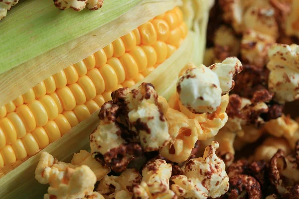 Tasty popcorn and fresh corn — Stock Photo, Image
