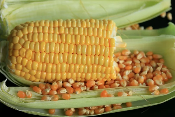 Corn and dried seeds — Stock Photo, Image