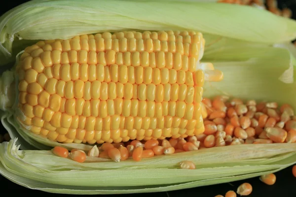 Kukorica és szárított termések — Stock Fotó