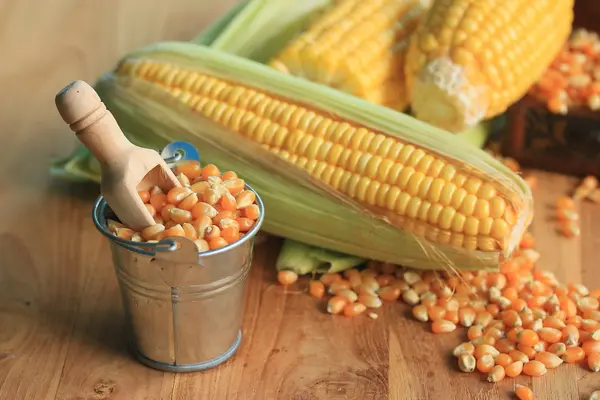 Corn and dried seeds — Stock Photo, Image