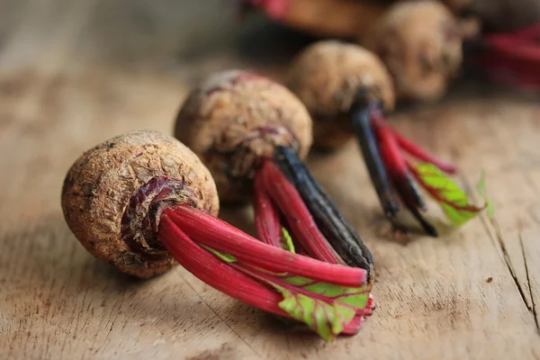 Fresh beetroot small size — Stock Photo, Image