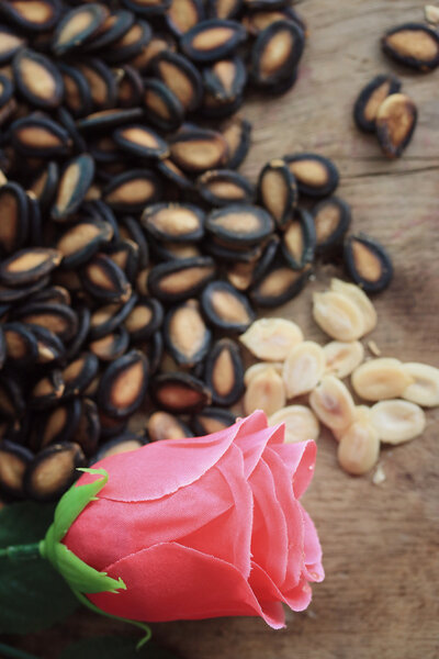 seed melon with rose