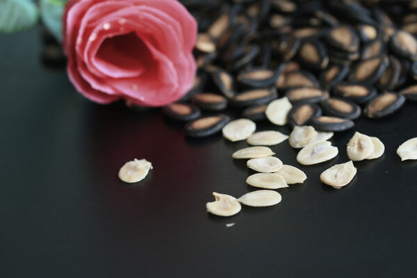 seed melon with rose
