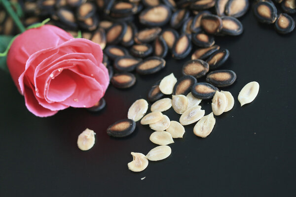 seed melon with rose