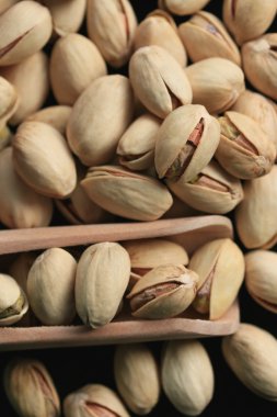 Çok fıstık fındık