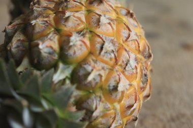 taze ananas tatlı meyve