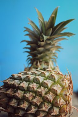 taze ananas tatlı meyve