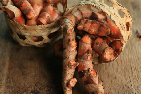 Cúrcuma fresca con polvo — Foto de Stock