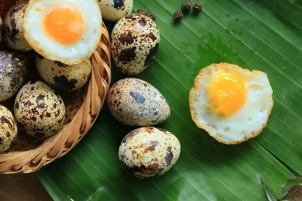 Hodně Sázená křepelčí vejce — Stock fotografie