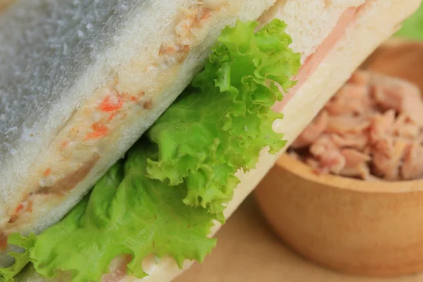 Leckerer Thunfischschinken — Stockfoto