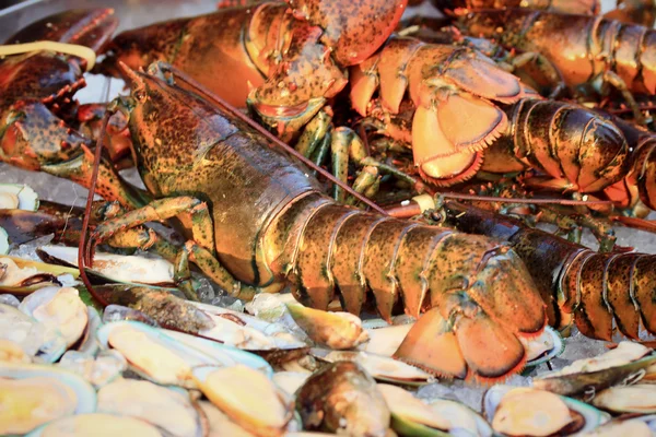 Spiny lobster in market — Stock Photo, Image