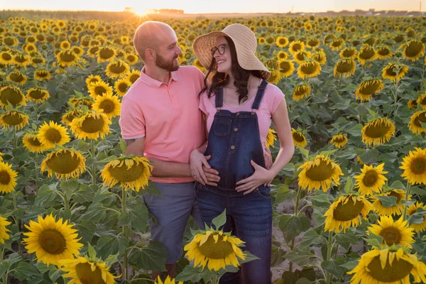 Casal Caucasiano Alegre Sessão Maternidade Campo Girassol Durante Pôr Sol — Fotografia de Stock