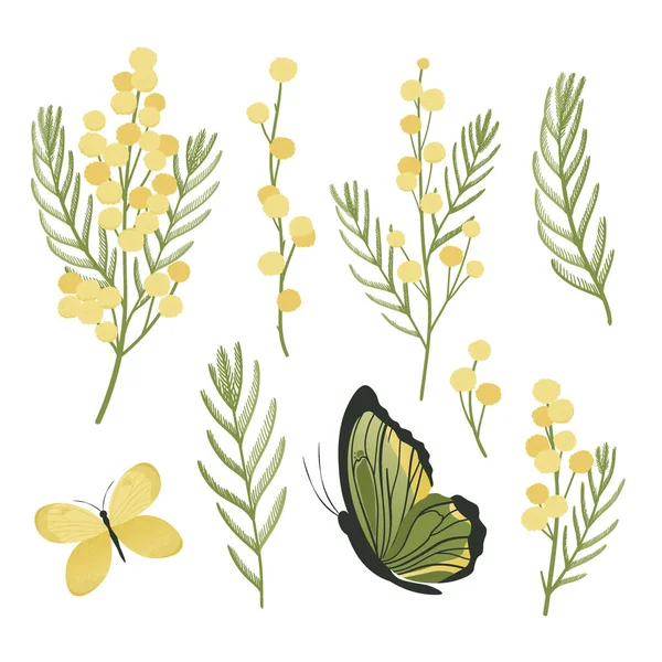 Mimosa Květiny Jarní Set Zelená Žlutá Barva Vektorová Ilustrace — Stockový vektor