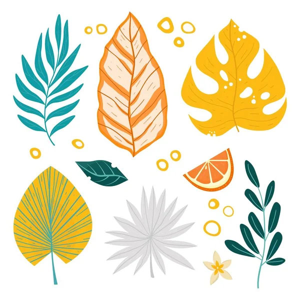 Tropische Blätter Gesetzt Vektor Helle Farbe Flache Illustration — Stockvektor