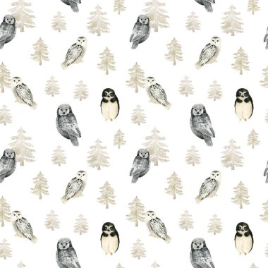 Ormanda tatlı baykuşlarla suluboya desenleri. Ladin ormanı, vahşi hayvanlar..