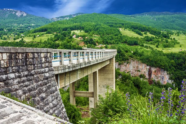 Pont, paysage montagneux, Monténégro. Durdevica Tara arc bridg — Photo