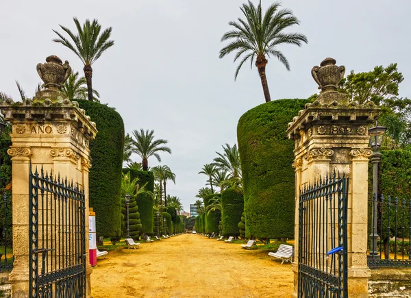 Groene park, Cadiz, Spanje. Genovese tuin — Stockfoto