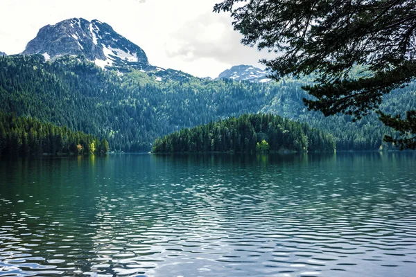 Montanha lago e floresta conífera sempre verde, Durmitor, Montene — Fotografia de Stock