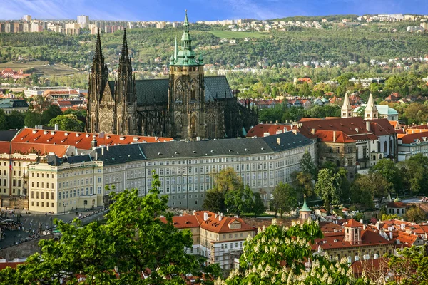 Prague Castle and Saint Vitus Cathedral, Czech Republic. Panoram — Stock Photo, Image