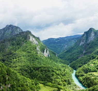 Yeşil tepeler ve dağ nehir. Doğal peyzaj, Karadağ