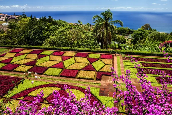 Botanische tuin Monte, Funchal, Madeira, Portugal — Stockfoto