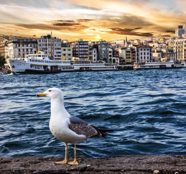 Istanbul gün batımı manzarası. İstanbul, Türkiye'nin sahil