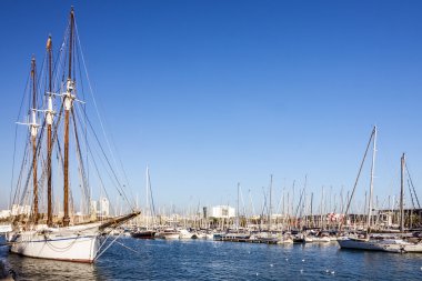 Barcelona, İspanya - 8 Mayıs 2016: Yat marina, Port Vell, Catalonia